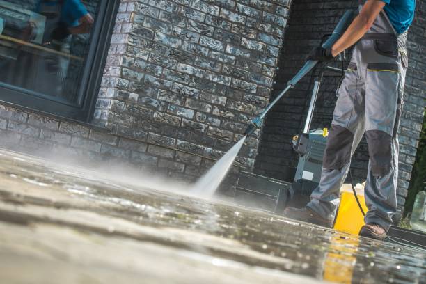 Best Dumpster Area Cleaning  in Bayou Vista, TX