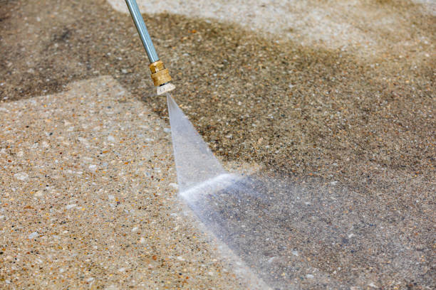 Best Spring Cleaning  in Bayou Vista, TX